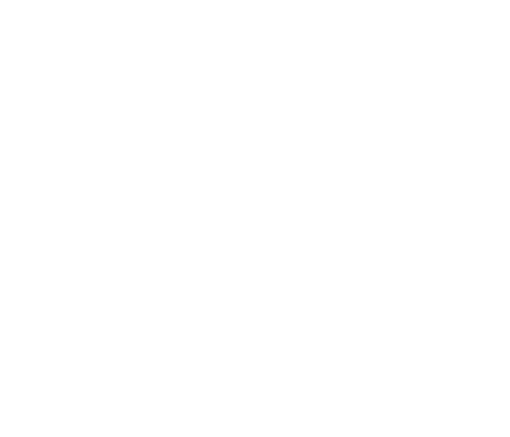 Building Reports