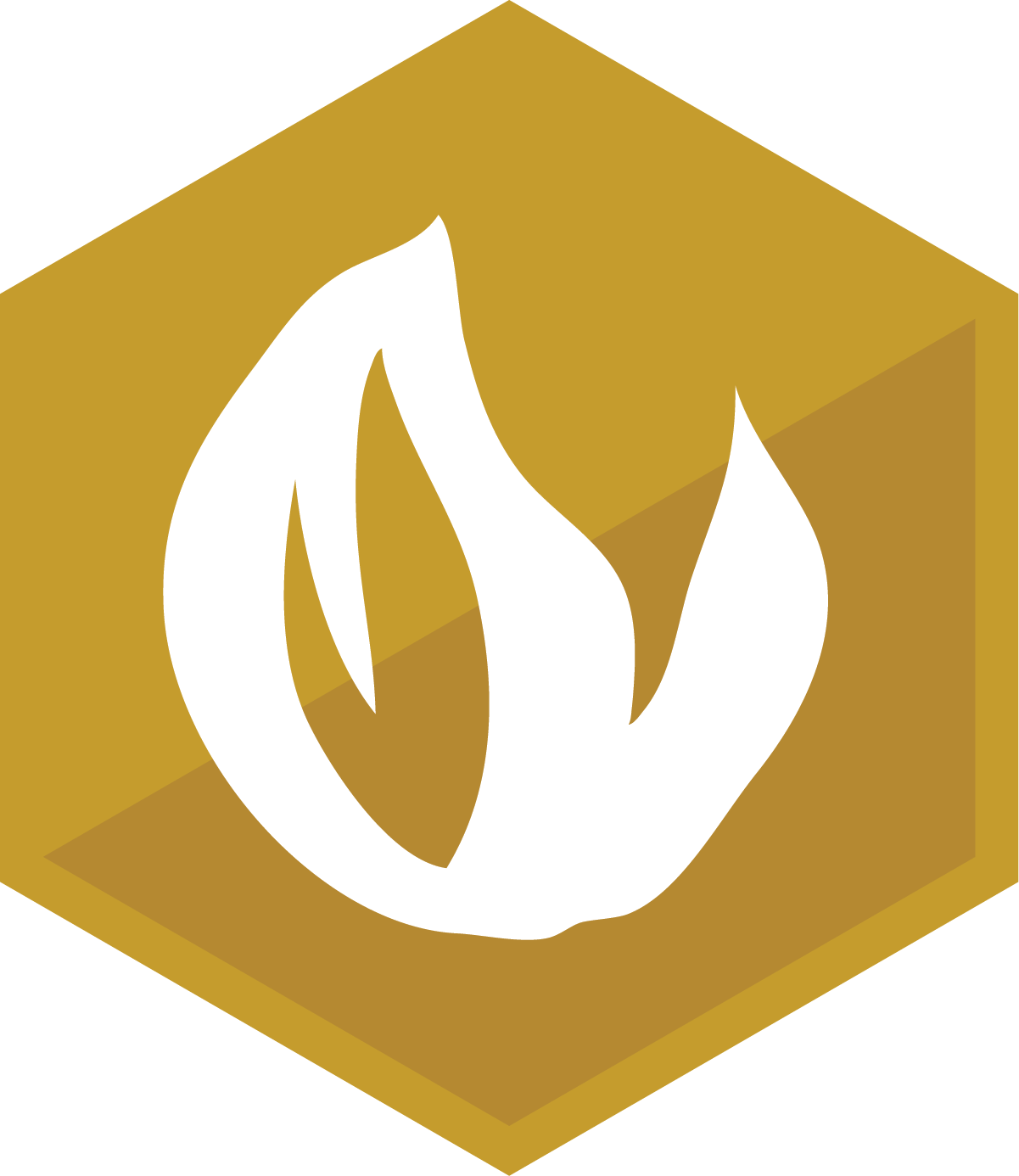FireScan Icon