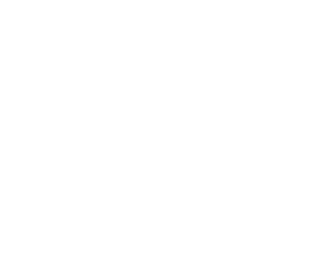 BuildingReports Logo in white